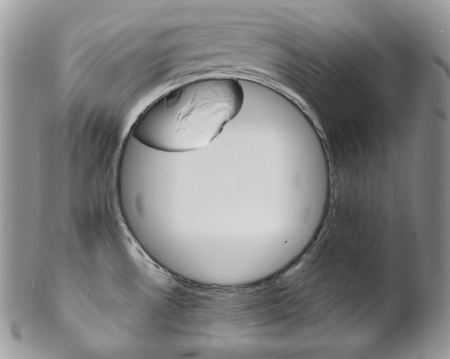 X0000102841530200808181013