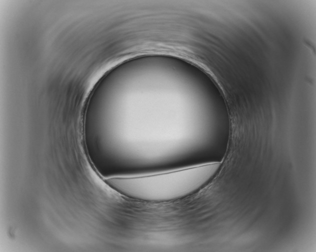 X0000102841531200808181013