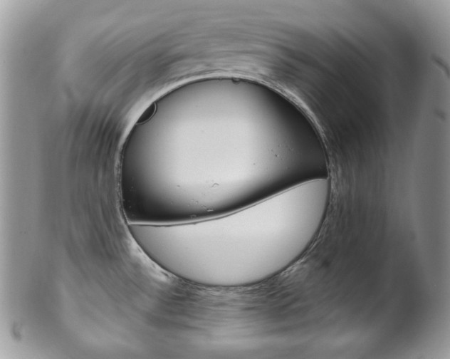 X0000102841532200808181013