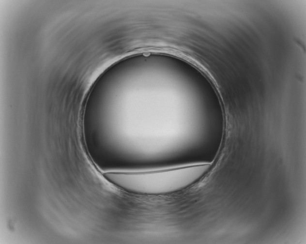 X0000102841533200808181013