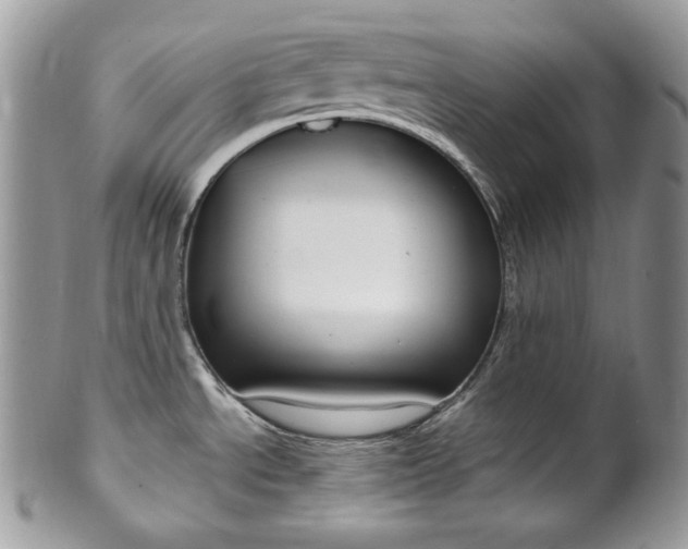 X0000102841534200808181014