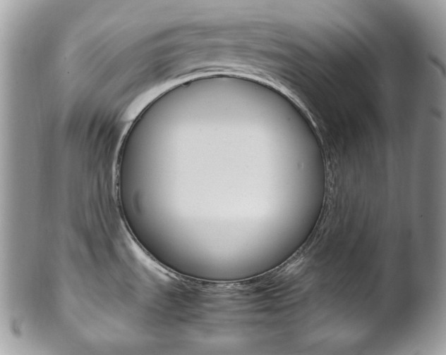 X0000102841535200808181014