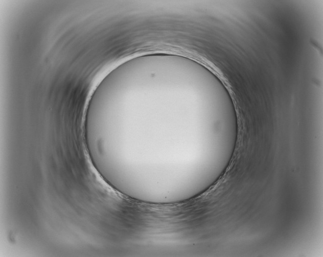X0000102841536200808181014