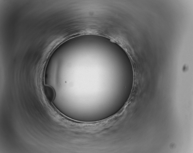 X0000102840001200808181359