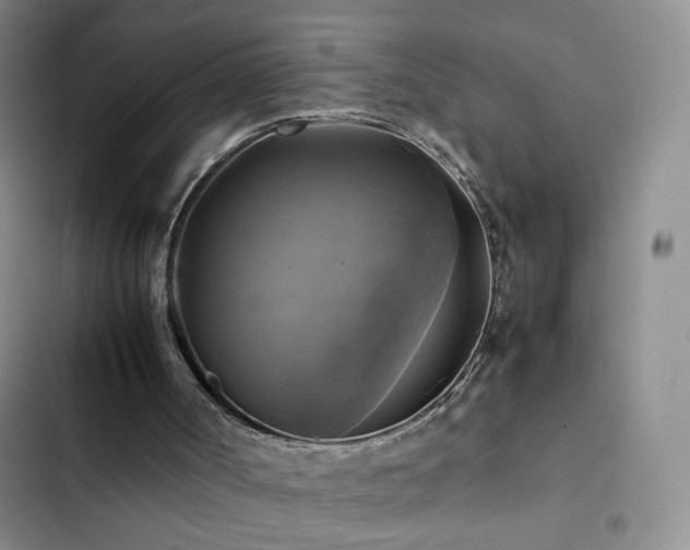 X0000102840002200808181359