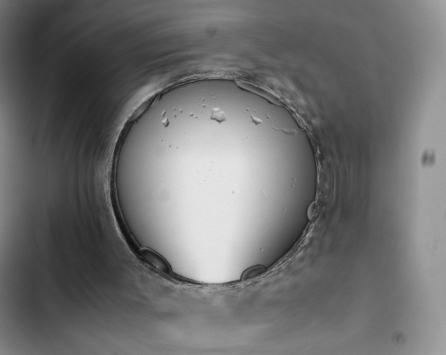 X0000102840003200808181359