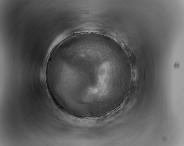 X0000102840004200808181359