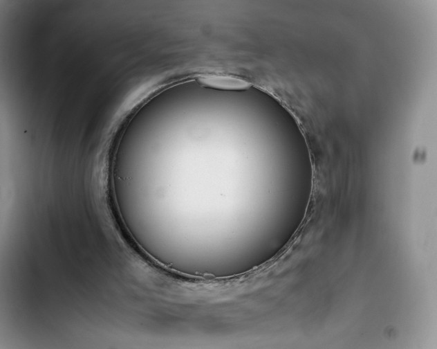 X0000102840005200808181359