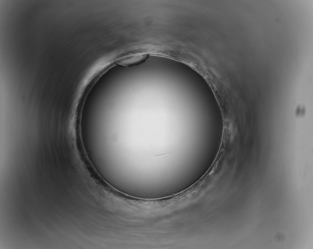 X0000102840006200808181359