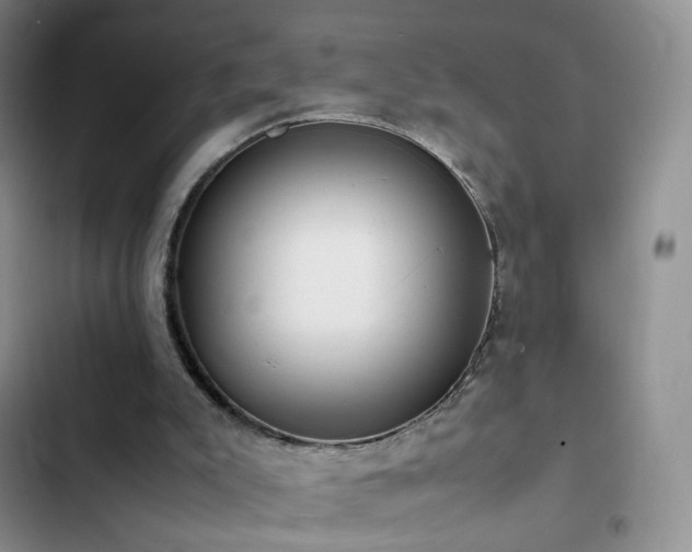 X0000102840007200808181359