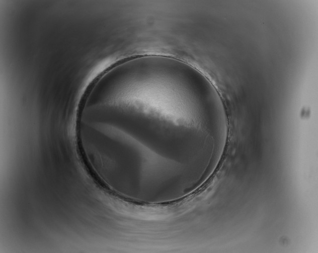 X0000102840008200808181359