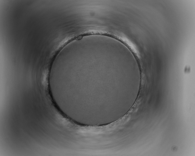 X0000102840009200808181359