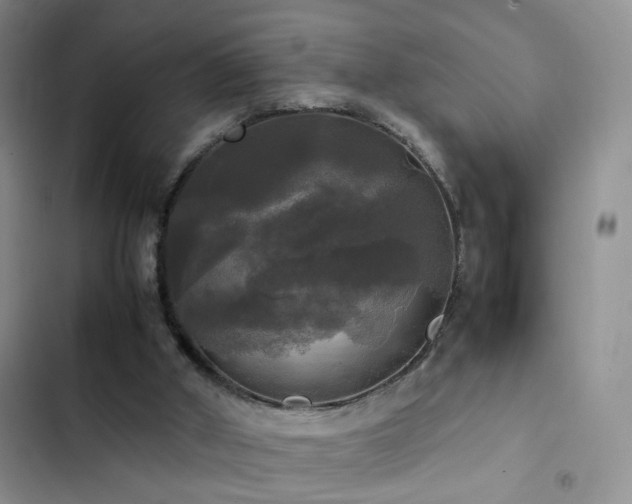 X0000102840010200808181359