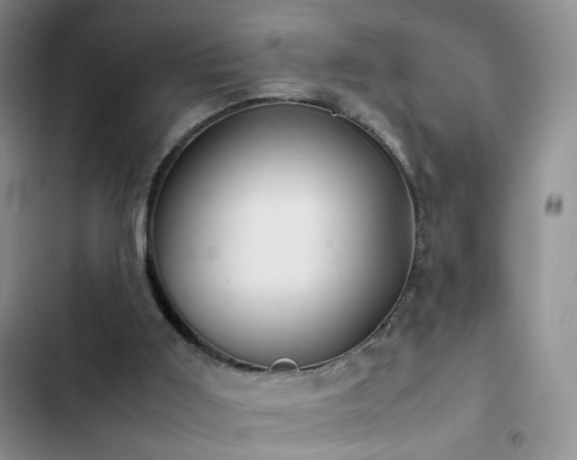 X0000102840011200808181359