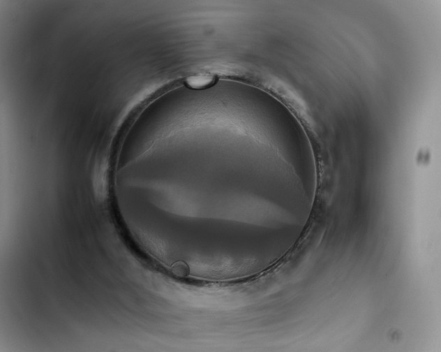 X0000102840012200808181359