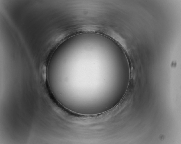 X0000102840013200808181359