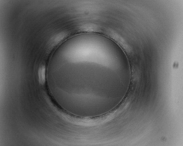 X0000102840014200808181358