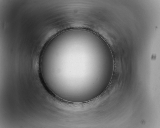 X0000102840015200808181358