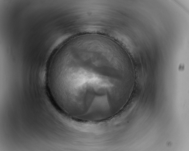 X0000102840016200808181358