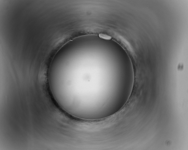 X0000102840017200808181358