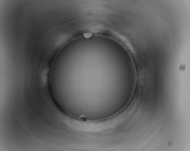 X0000102840018200808181358