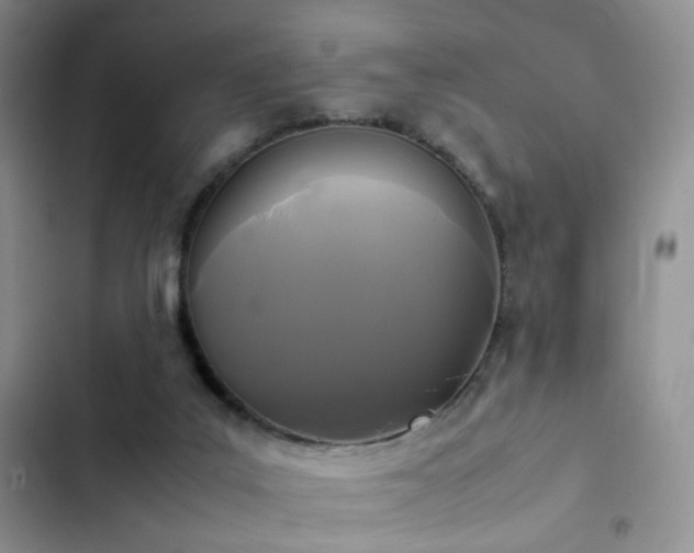 X0000102840019200808181358