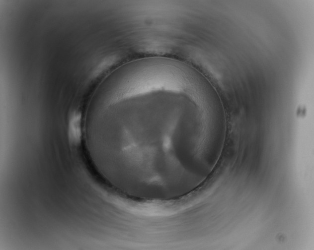 X0000102840020200808181358