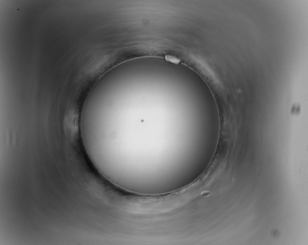 X0000102840021200808181358