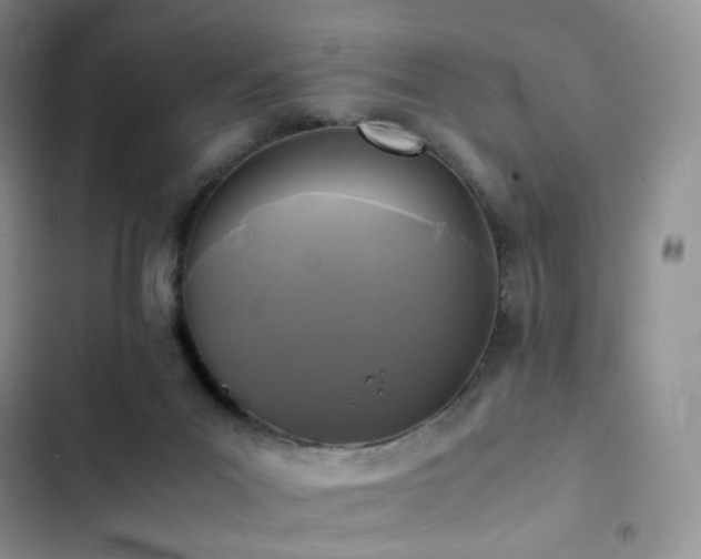 X0000102840023200808181358