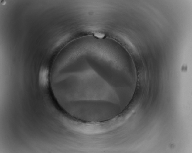 X0000102840024200808181358