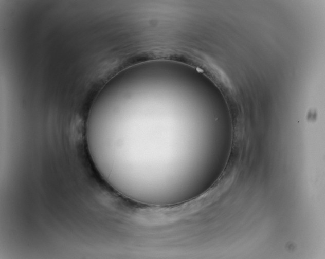 X0000102840025200808181358