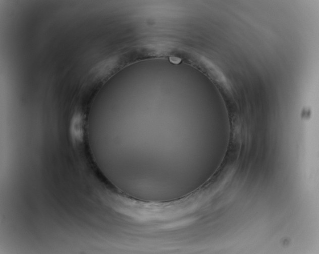 X0000102840026200808181358