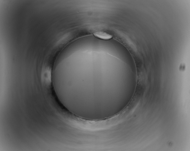 X0000102840027200808181358