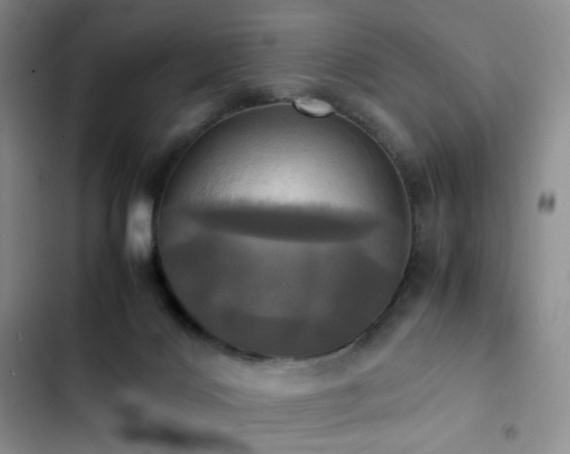 X0000102840028200808181358