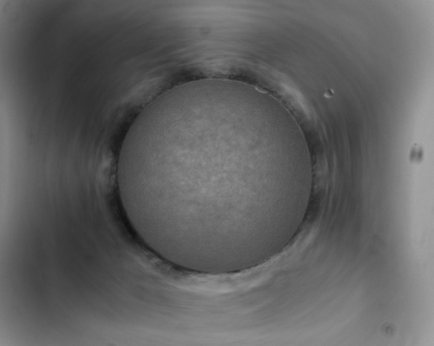 X0000102840029200808181358