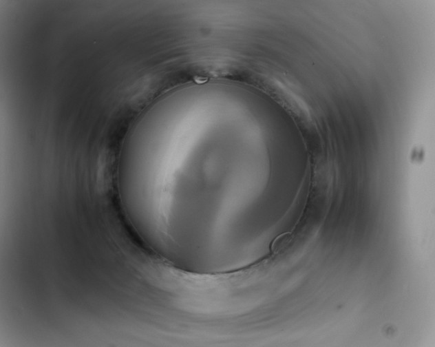 X0000102840030200808181358