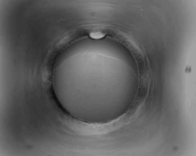 X0000102840031200808181358