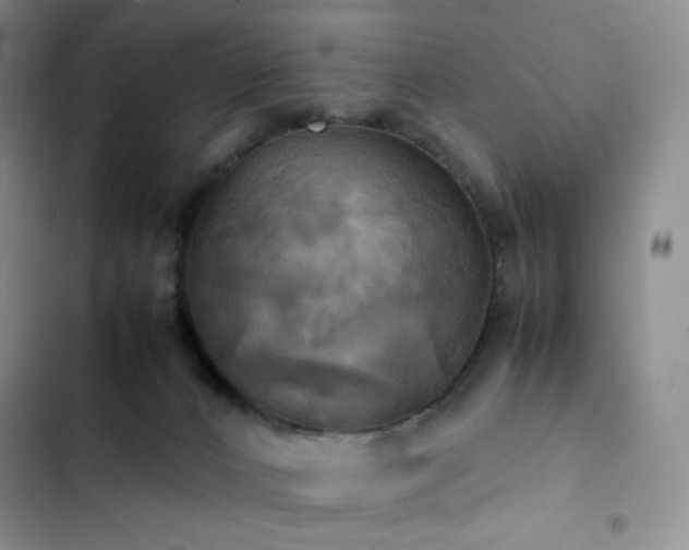 X0000102840032200808181358