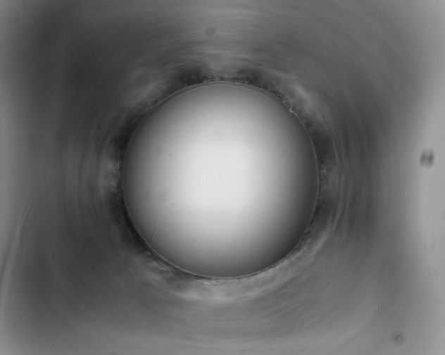 X0000102840033200808181358