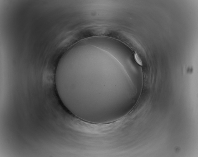 X0000102840035200808181358