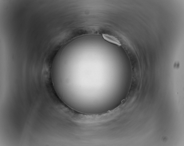 X0000102840037200808181358