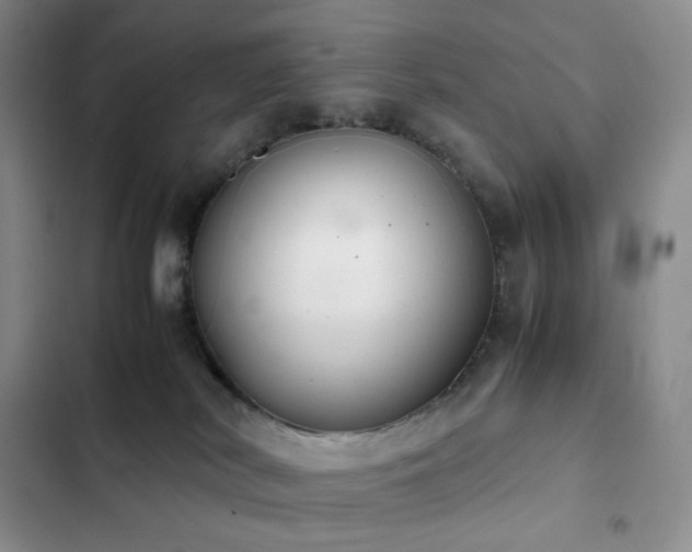 X0000102840038200808181358