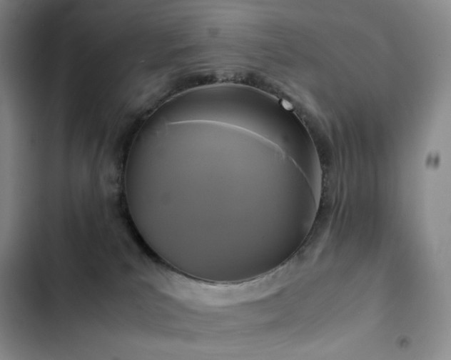 X0000102840039200808181358