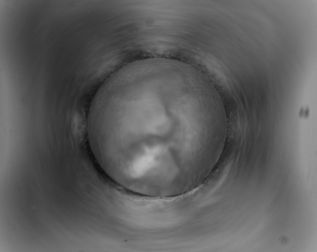 X0000102840040200808181358