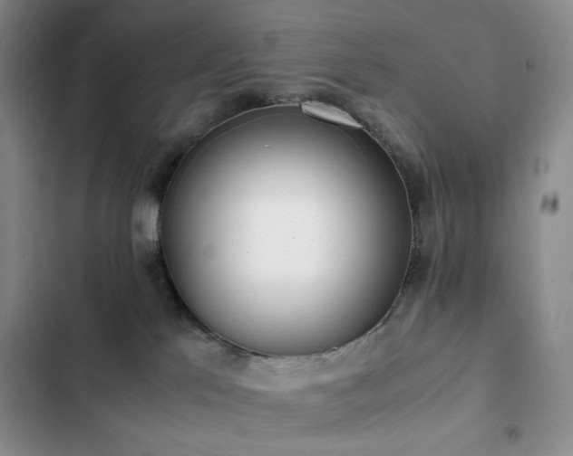 X0000102840041200808181358