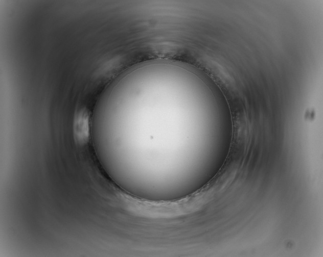 X0000102840042200808181358