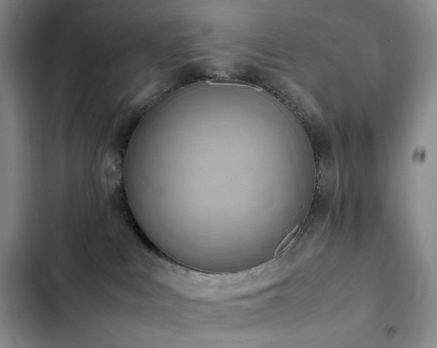 X0000102840043200808181358