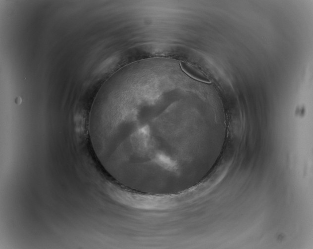 X0000102840044200808181358