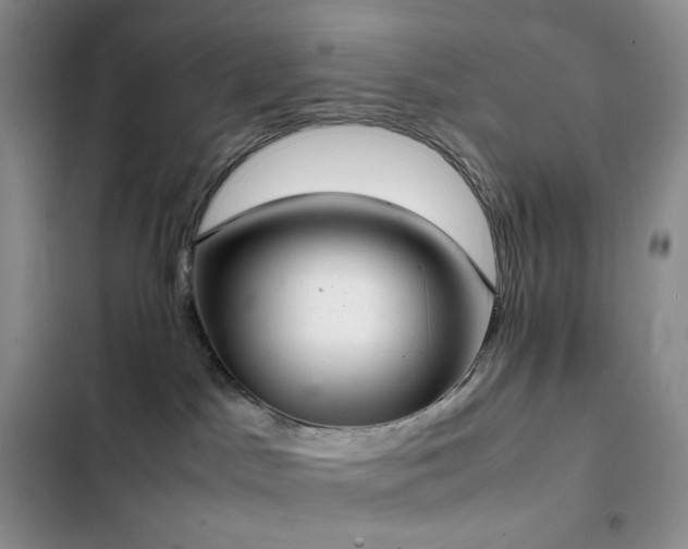 X0000102840045200808181358