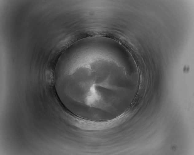 X0000102840048200808181358